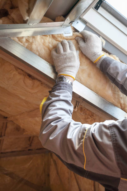 Best Types of Insulation in Williams, AZ