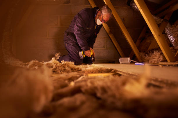Best Commercial Insulation in Williams, AZ